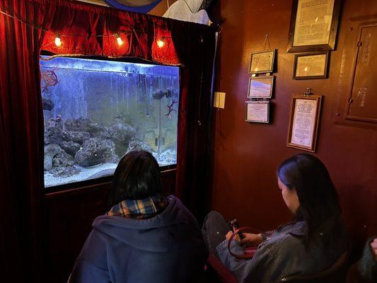 Non-judgmental fish theatre