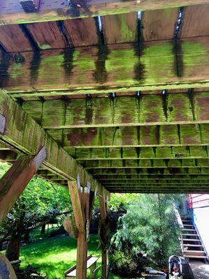 Algae ridden balcony deck gets washed clean!