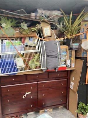 Large dresser,  broken down large birdcage, bike, rolling tool cart, lots of plants and countless boxes.