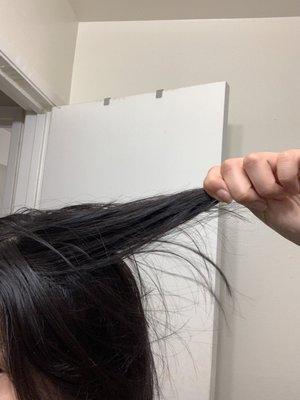 this whole chunk of hair is all the same length and is short.