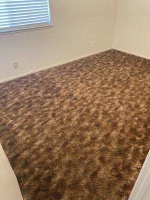 Robert Black's Carpet Cleaning