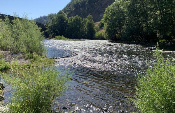 Trinity River a short stroll to this beautiful view