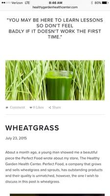 Wheat Grass.