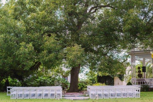 A ceremony under our large Pecan Tree.