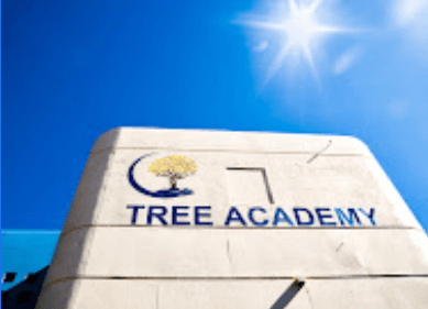 TREE Academy provides a high-quality, project-based, student-centered college-preparatory education in the arts, sciences, and humanities