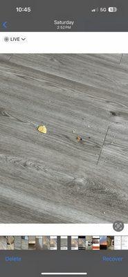 The crumbs that Jo said we tracked in from walking on the tiny balcony. I guess there are random chips on the balcony. Ha