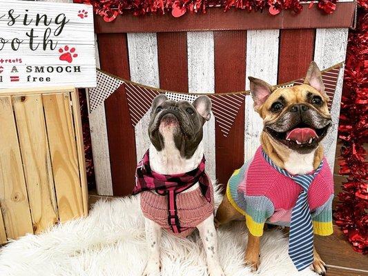 They hosted a Valentine's Day party for pets and parents complete w kissing booth & photographer (free of charge!)