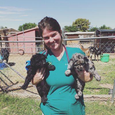 Dr. Brownlee with puppies!  Time to get vaccinated!