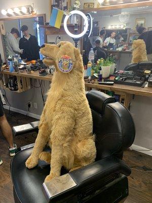 woof woof getting a cut