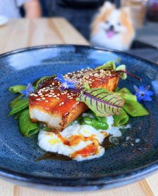 Crispy Pork Belly w/ burrata, grilled peas, miso caramel | $19 (GET THIS!)