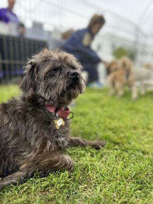 Lhasa Happy Homes