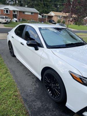 20% window tints