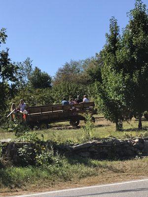 Tractor ride to the Apple picking!