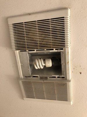 Dust in vent