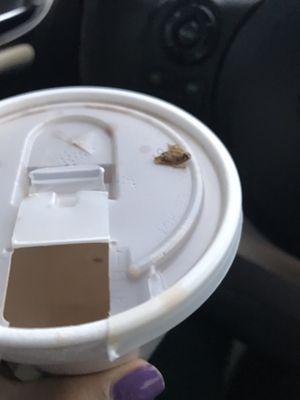 ROACH IN MY HOT CHOCOLATE!!!!