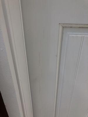 Door