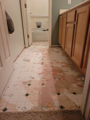 This is how dustbusters left my upstairs bathroom. Very uneven with layers of wood, linoleum, and thinset.