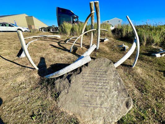 Another park along the trails around Nye Beach all about whales!! This one has some whale bones and lovely poems and info!