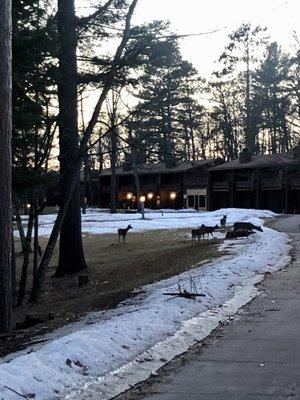 Common area at dusk.