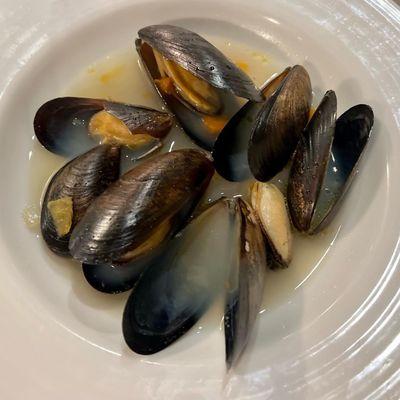 Paradise - Mussels