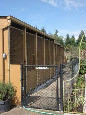 Outdoor portion of the dog kennels