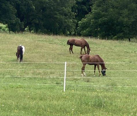 6 acre turnout