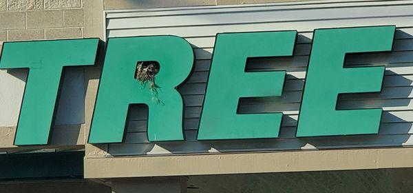 Dollar Tree