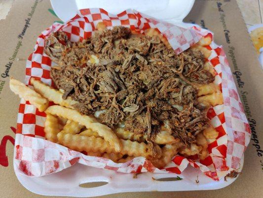 Birria fries