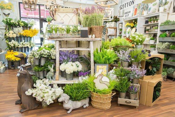 Pick your spring blooms here!