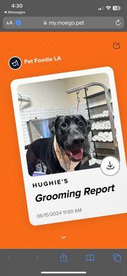 Grooming appointment review