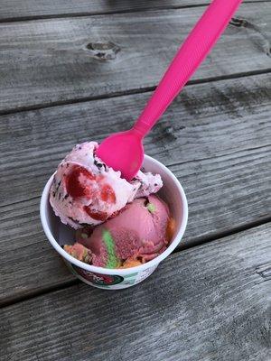 Cherry chocolate and rainbow sherbet