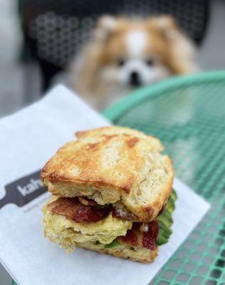 Buttermilk Biscuit w/ egg, cheddar, garlic aioli ($9) + bacon ($1.50) + avocado ($2). Delicious but the cheddar was missing. =(