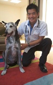 Dr. Lum with one of his oldest patients, 'Diego', in the living room of his owner's home.