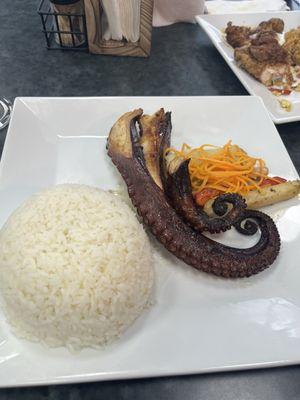 Octopus