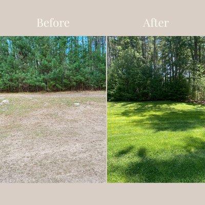 Before and after grass renewal project