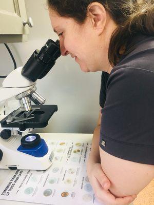 Dr. McCutcheon looking for intestinal parasite eggs under the microscope.