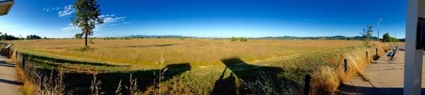 Meadow Lark Prairie