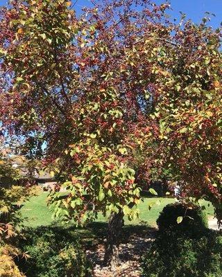 Being out-door enjoying nature is one of our favorite past times. Come join us for a tour at Caseyville and enjoy all our home has to offer.