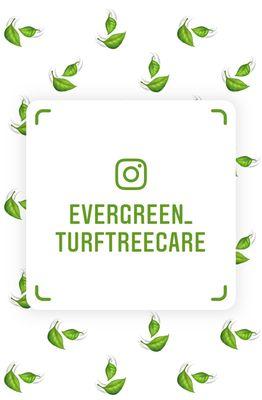 Follow us on Social Media. We're constantly posting helpful information. Click the link  https://linktr.ee/evergreen20