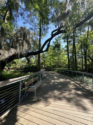 Beautiful walkways