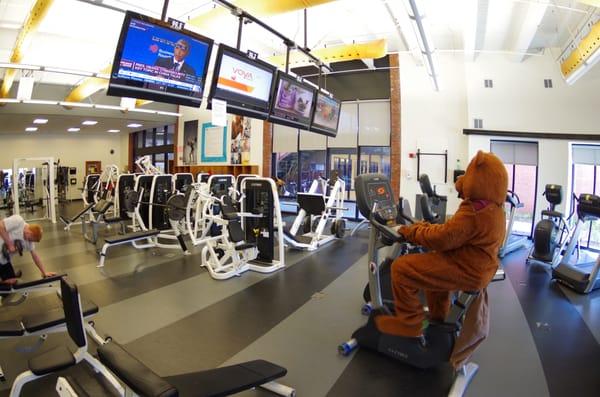 Champlain College mascot Chauncey Beaver works out in the Fitness Center at IDX Student Life Center.