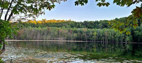 Lake trail 8/19