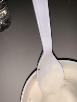 Baby roach in my ice cream.