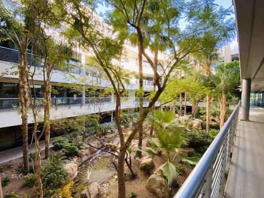 © Agave Counseling Services.                      Additional perspective of your view of the atrium on your way to your counseling sessions.