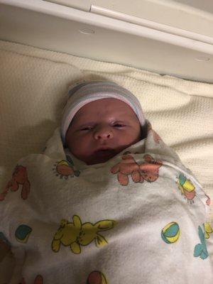 Robert Michael 12-11-18