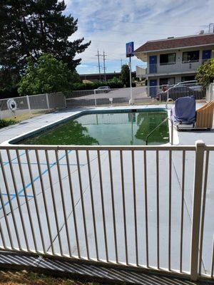 A vary dirty and smelly pool! You can smell it when you walk by.