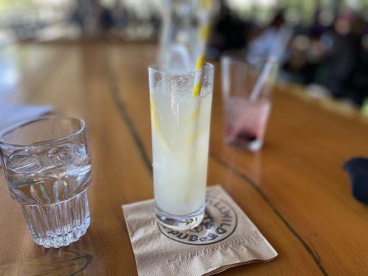 Seasonal Seltzer Drink - yummy if you like ginger and lemon