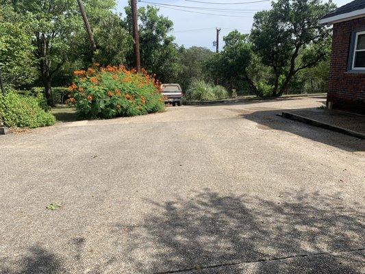 Driveway - Before