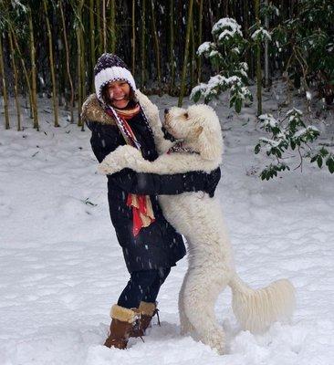 Juno celebrates seeing her mom after getting groomed at Sheer Heaven Pet Resort.