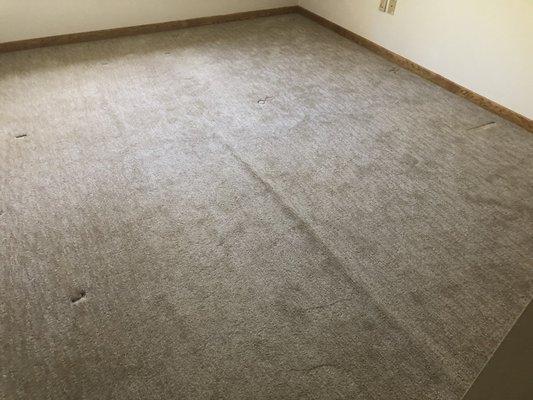 New England Floor and Carpet